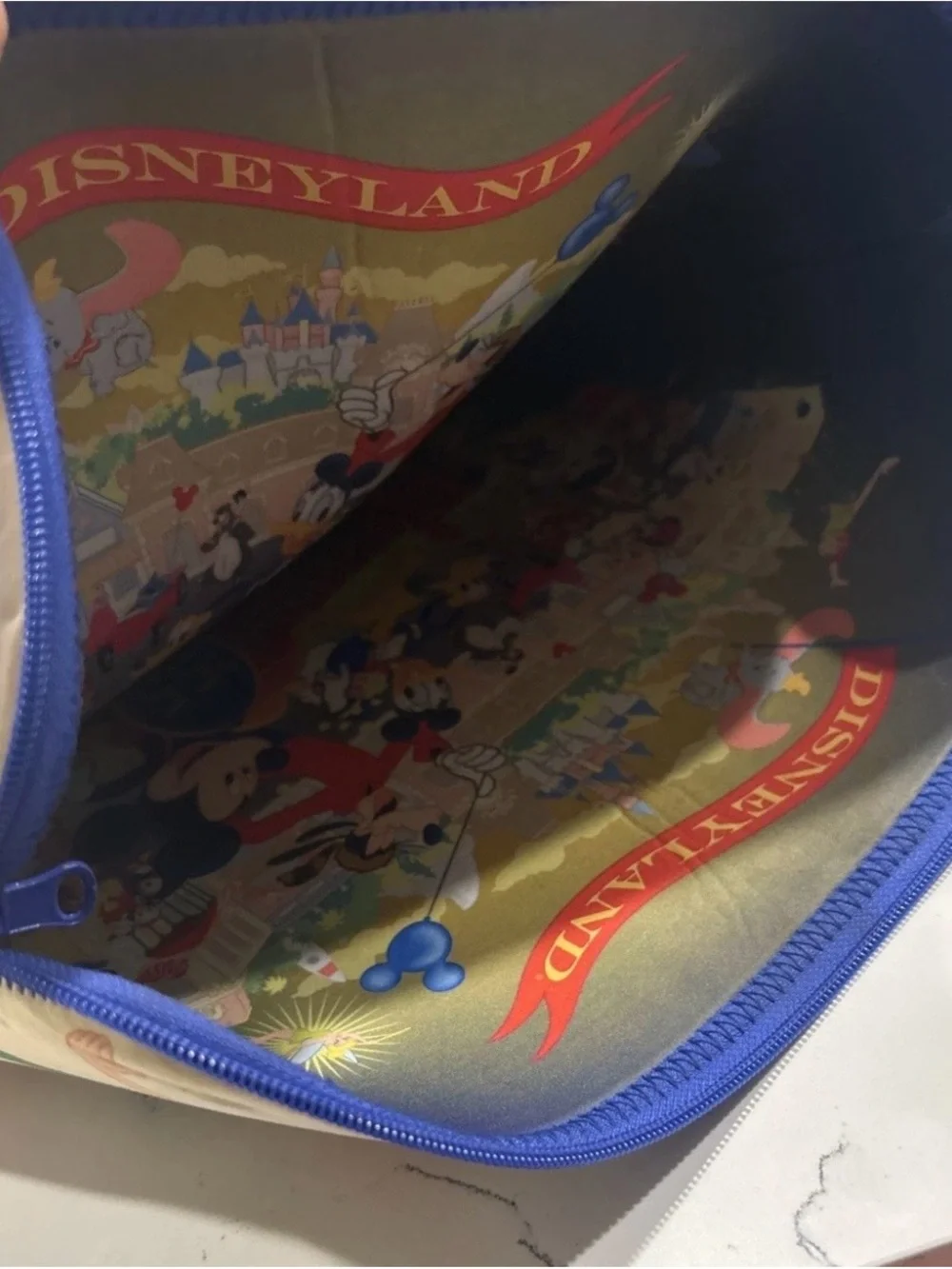 Disneyland 15